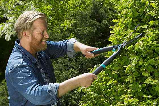 Ножиці для живоплоти Gardena EasyCut (12301-20.000.00) Харків