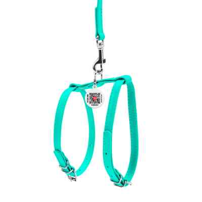 Шлея для собак WAUDOG Glamour з повідцем шкіряна Ш 12 мм А 25-33 см В 35-43 см ментолова (340013) Вінниця