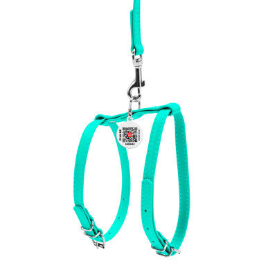 Шлей для собак WAUDOG Glamour с поводком кожаная Ш 12 мм А 25-33 см В 35-43 см ментолова (340013) Винница - изображение 2
