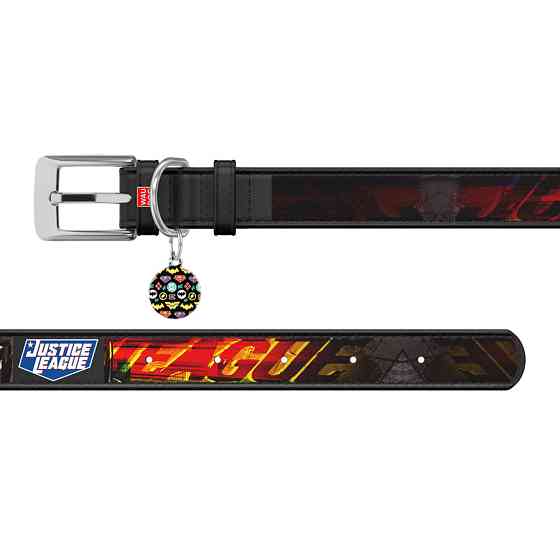 Нашийник для собак шкіряний WAUDOG Design з QR паспортом, малюнок "Ліга справедливості", Ш 25 м Коломыя