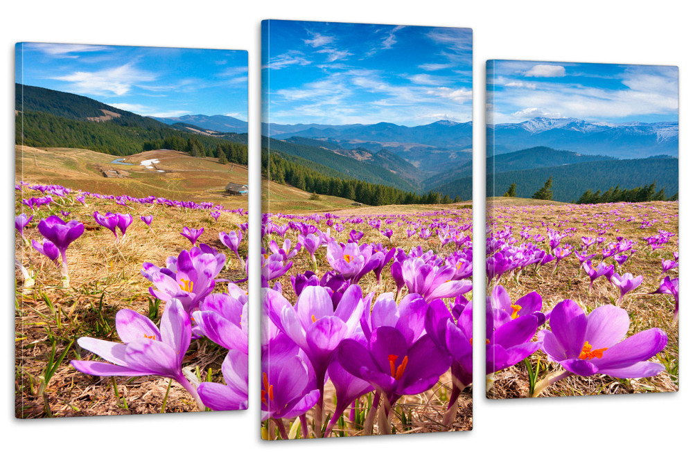 Модульная картина в гостиную / спальню  Гірський Шафран Art-658_3 70x130 см Киев - изображение 1