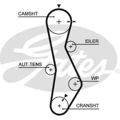 Ремінь ГРМ Gates 5579XS Вінниця