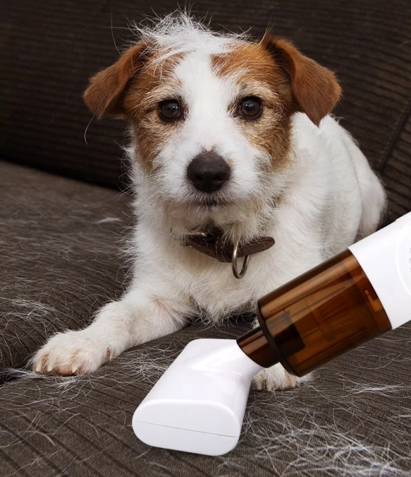 Беспроводной пылесос Vacuum Cleaner K9T для удаления пылевого клеща Киев - изображение 9