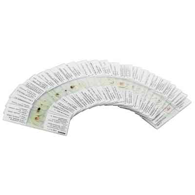 Набор микропрепаратов Konus Зоологія Комахи 25 шт (4980) Винница