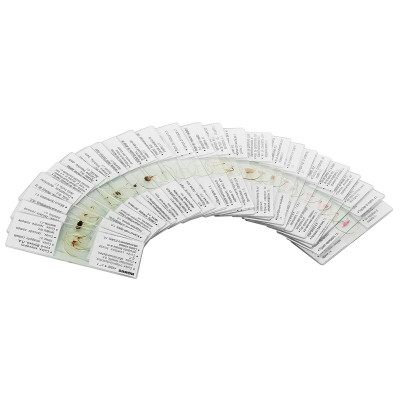 Набор микропрепаратов Konus Зоологія Комахи 25 шт (4980) Винница - изображение 3