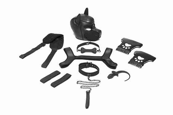 Набор BDSM щенка Master Series Luxury Pup Arsenal Set - Black Sex Aura Киев
