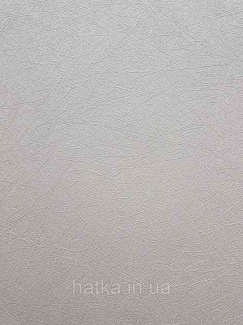 Шпалери метрові вінілові на флізеліні A.S.Creation Flowers Symphony1.06x10 смужки павутинка світло-бежевий перламутр Київ - фото 2