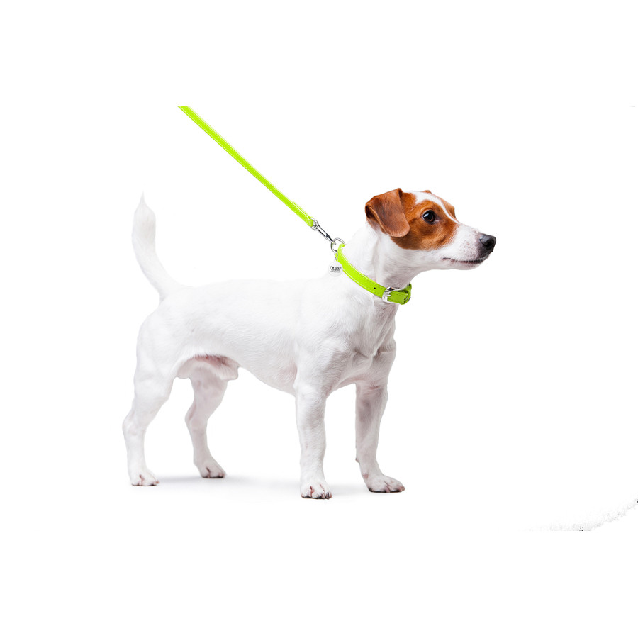 Повідець для собак шкіряний WAUDOG Glamour, Ш 12 мм, Дов 122 см салатовий Коломыя - изображение 2