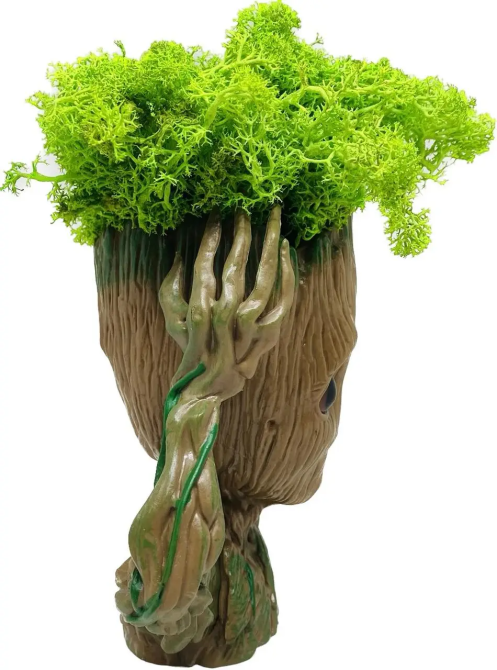 Кашпо горшочек со стабилизированным мхом Грут Groot G4 Винница - изображение 6