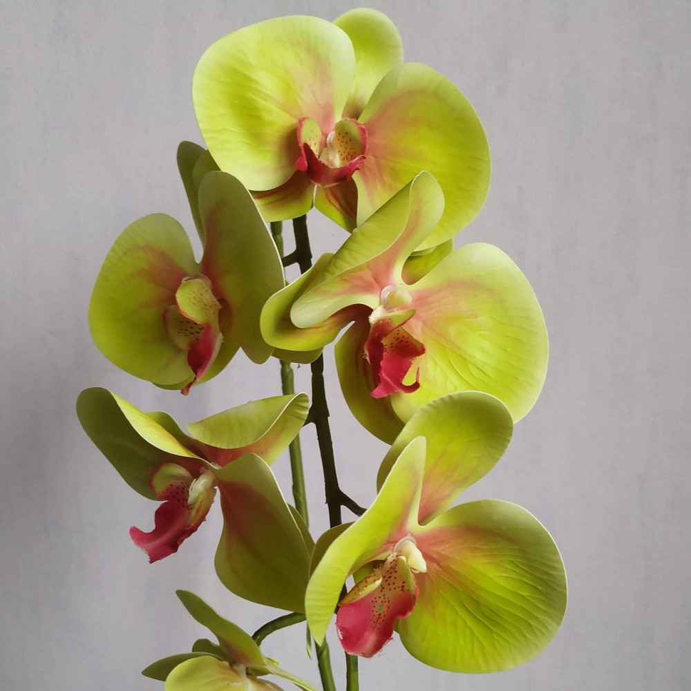 Штучна латексна орхідея VIP в салатовому керамічному кашпо на одну гілку салатово-рожева Дніпро - фото 3