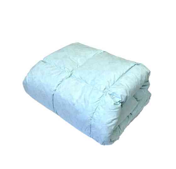 Ecotton Ковдра Ecotton двоспальна 172х205 см пухово-перова пух - 50% блакитне Киев