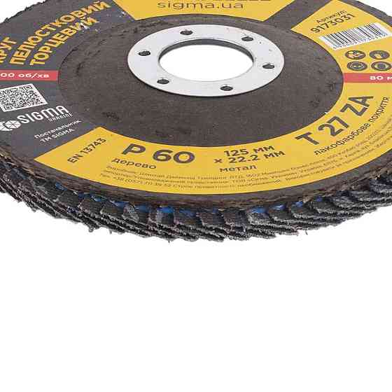 Круг пелюстковий торцевий Т27 (прямий) ZA Ø 125 мм P60 SIGMA (9173031) Київ