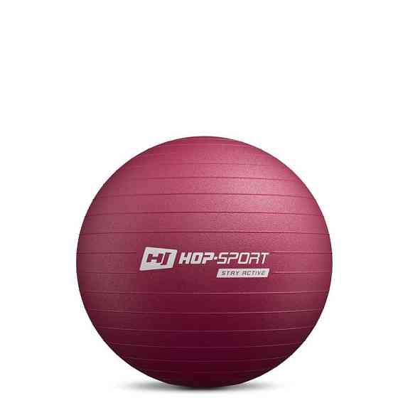 Фитбол Hop-Sport 45см HS-R045YB сливовый + насос Киев