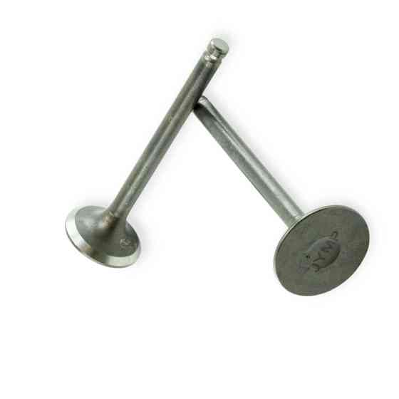 Клапана мопед Дельта -110 голі Мукачево