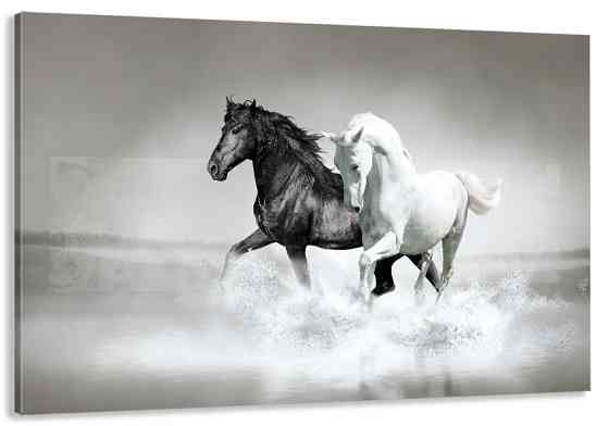 Картина холст в гостиную / спальню Коні    MLP_95 70x140 см Киев
