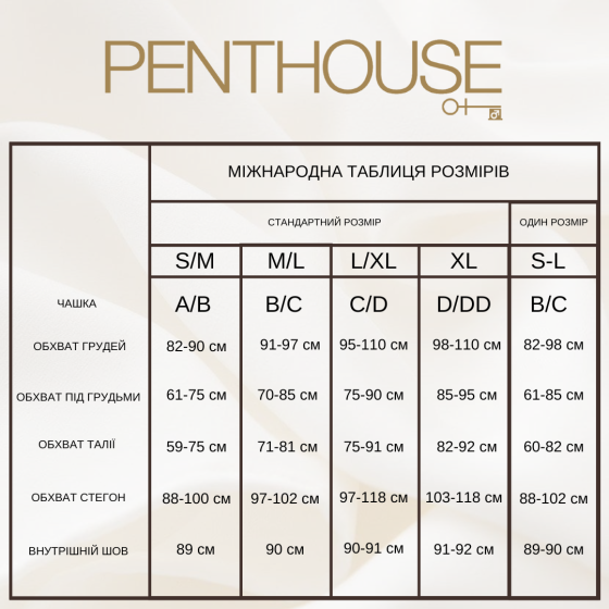 Бодістокінг із сітки та мережива Dirty Mind колір: чорний Penthouse (Німеччина), розмір XL Sex Aura Київ