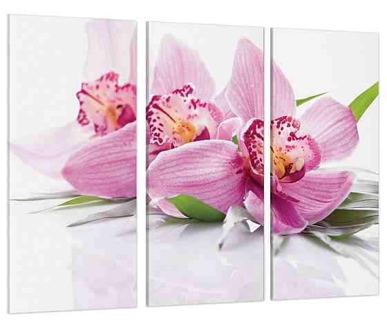 Модульная картина  Цветы Орхидея Art-61_XXL 70x130 см Киев
