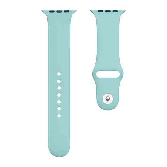 Ремінець для годинника Apple Watch Silicone Classic 38/40/41mm 50.Spearmint Киев