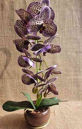 Штучна латексна орхідея VIP у жовтому керамічному кашпо на одну гілку фіолетово-жовта Дніпро