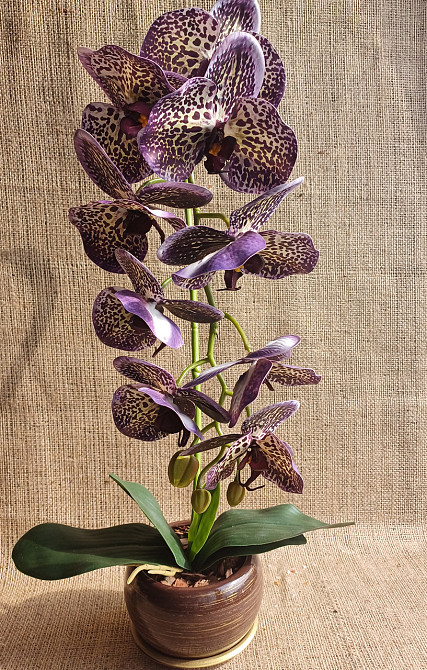 Штучна латексна орхідея VIP у жовтому керамічному кашпо на одну гілку фіолетово-жовта Дніпро - фото 2