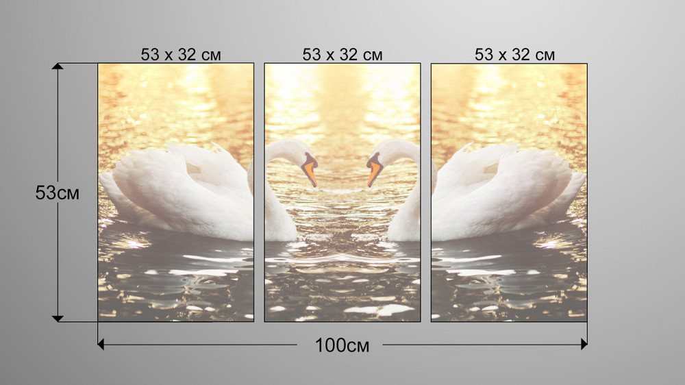Модульна картина Природа Лебеді Аrt-121_3А Київ - фото 3