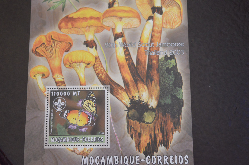 Флора. Мозамбик. Блок. 2015 год (В-7) Полтава - изображение 1