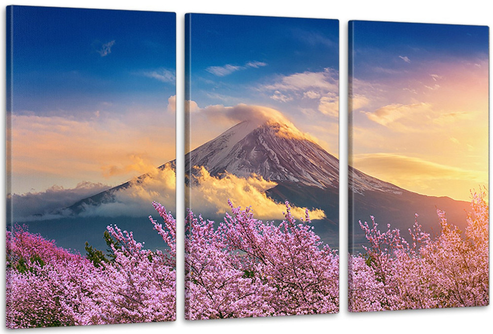 Модульная картина в гостиную / спальню   Природа    ART-146_3A 70х130 см Киев - изображение 1