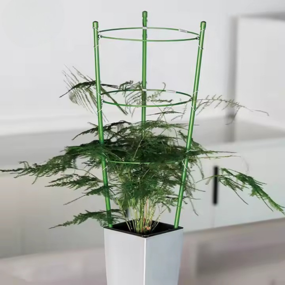 Опора кольцевая для комнатных и садовых высокорослых цветов,растений и рассады с 3 кольцами размер 60х22 см Каменец-Подольский