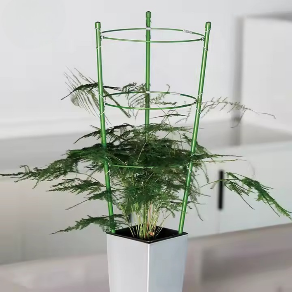 Опора кольцевая для комнатных и садовых высокорослых цветов,растений и рассады с 3 кольцами размер 60х22 см Каменец-Подольский - изображение 6