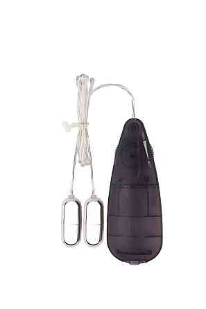 Вибропули серебристые Chisa Hi-Basic Double Play Bullets Vibrator с черным пультом управления Sex Aura Киев