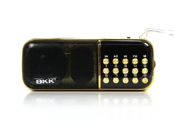 Портативный радиоприемник BKK USB/MP3  с выходом на наушники, функция часы, цифровой тюнер Одесса
