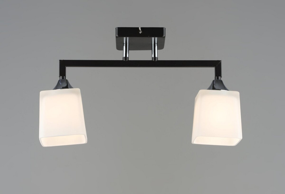 SIRIUS Люстра стельова Sirius B N6116/2 COFFEE+CR на 2 плафони Коломия - фото 1