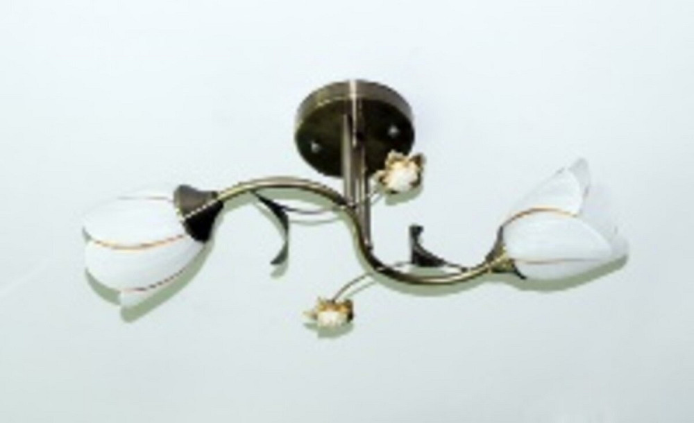 SIRIUS Люстра стельова Sirius B N1508/2 на 2 плафона Коломия - фото 2