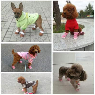 Чоботи для дрібних порід собак розм S Київ - фото 2