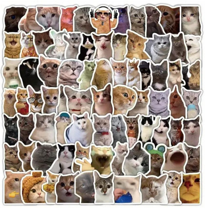Мемные наклейки с котами 100 шт. наклейки для ноутбука, телефона. Киев - изображение 1
