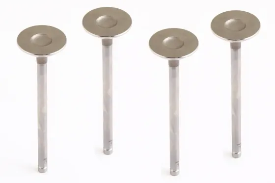 Клапан Aveo 1.6 AMP впускні (Lacetti) (4 шт.) Вінниця