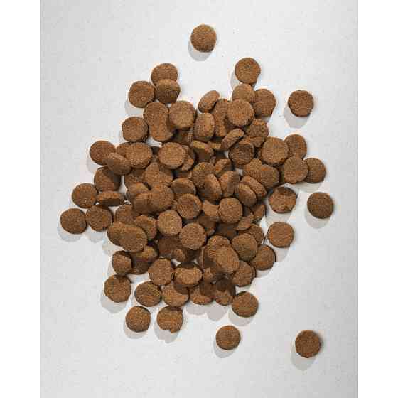 Сухой корм Half&Half для взрослых собак больших пород, с говядиной, 2 кг Винница