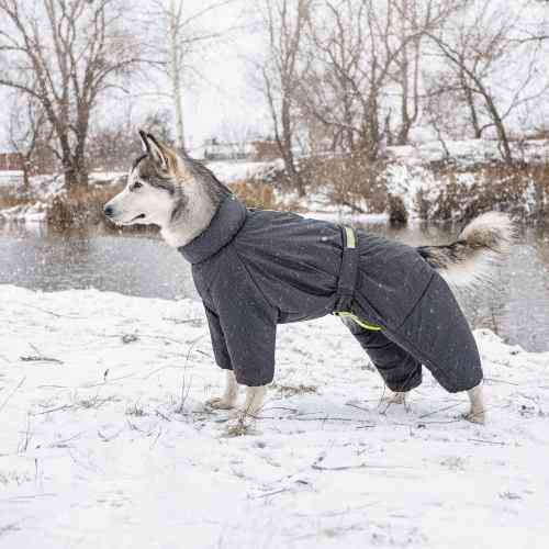 Комбинезон Pet Fashion Cold для собак серый ML Киев