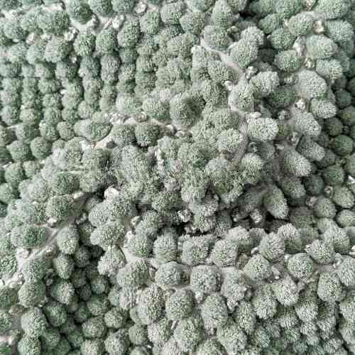 Килимок для ванної кімнати 50*50см Ананас нефрит Дариана Житомир