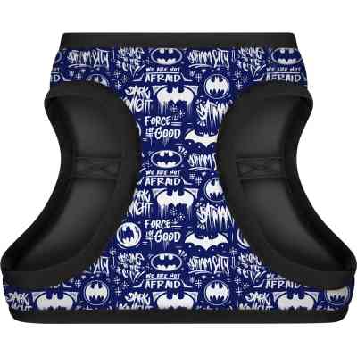 Шлея для собак WAUDOG Clothes з QR паспортом "Бетмен біло-блакитний" XS2 (1002-4001) Вінниця