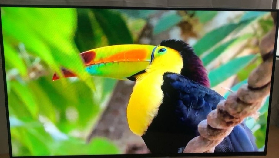 Телевизор: Samsung 48