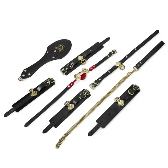 Розкішний набір для BDSM Zalo Bondage Play Kit, 10 аксесуарів у кейсі, шкіра, кристал Swarovski Львів