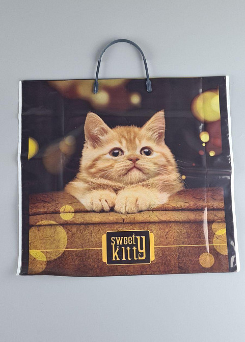 Пакет з пластиковою ручкою 36x34 Котенок (10 шт) Харьков - изображение 1