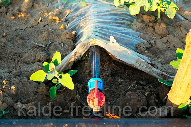 Кран стартовий з гумкою Presto-PS для крапельної стрічки 16 мм (OV-031708-R) Харьков - изображение 3