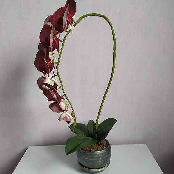 Штучна латексна орхідея VIP у сірому керамічному кашпо на одну бордову гілку Дніпро