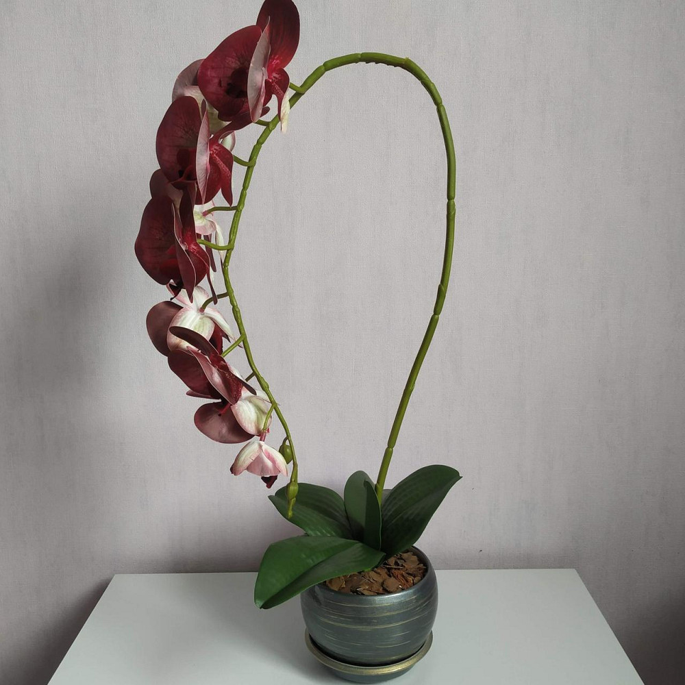 Штучна латексна орхідея VIP у сірому керамічному кашпо на одну бордову гілку Дніпро - фото 4