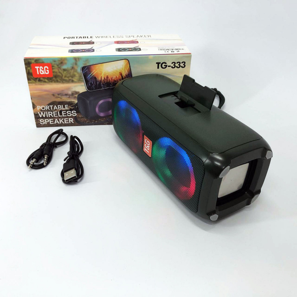 Колонка для домашньої вечірки TG333, Колонка портативна акумуляторна для вечірок на дачі DW-67 Львів - фото 3