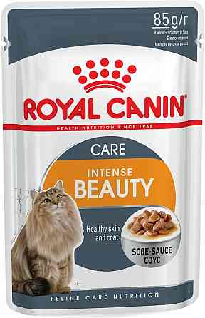 Royal Canin Intense Beauty Gravy (Роял Канін Інтенс Б'юті) вологий корм для кішок для шкіри та шерсті від 12 міс. 0.085 кг. х 12 шт. Запоріжжя