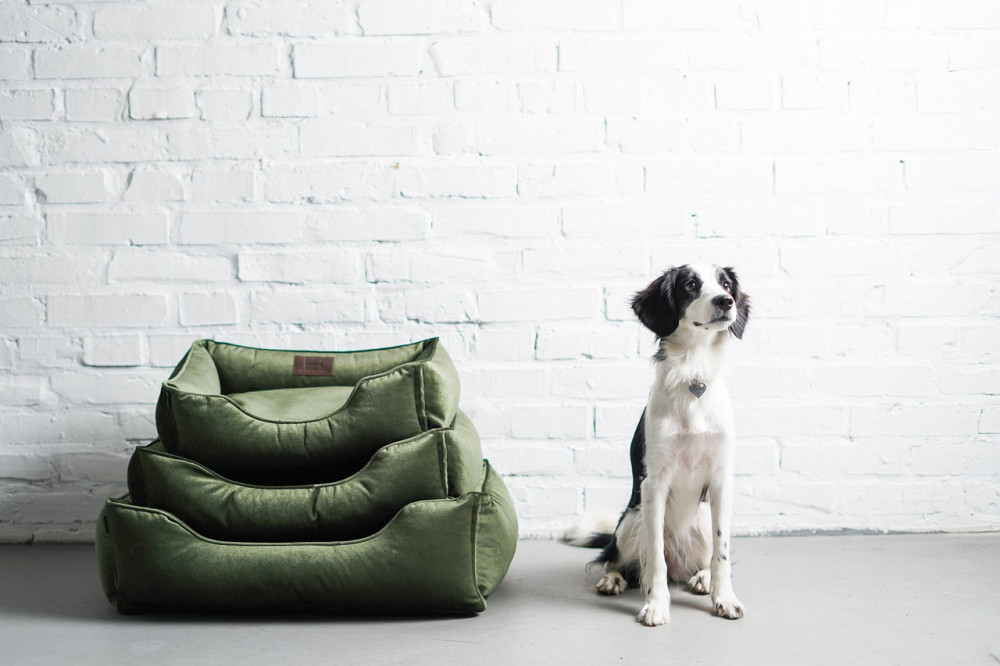 Лежак для Собак Котів та Кішок Dreamer Velour Green з бортами зі знімним чохлом зелений м'яка лежанка Одеса - фото 4