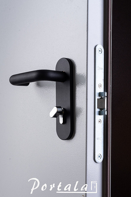 Двері технічні, ЕІ30 , гнутий профіль 80 мм, РАЛ 7035, товщина полотна 60 мм, 850 Київ - фото 3